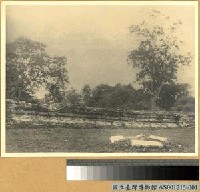 藏品(吳哥城遺址)的圖片